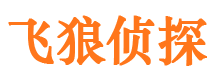 碾子山市侦探